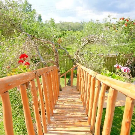 Prázdninový dům Elmar Eco Tree House *