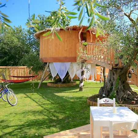 Elmar Eco Tree House *
