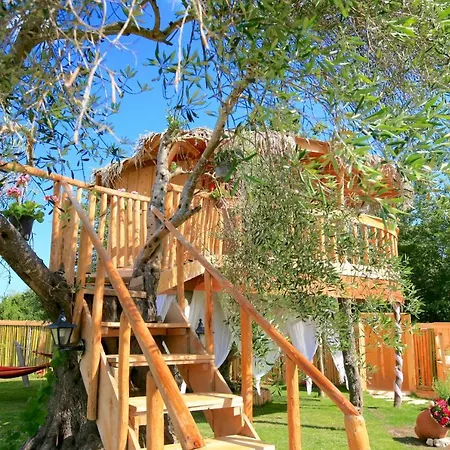 Elmar Eco Tree House * ロダ