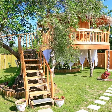 Prázdninový dům Elmar Eco Tree House *